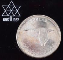 Kanada 1967. 1$ Ag "II. Erzsébet" műanyag tömbben, asztali tolltartónak kialakítva T:2 
C...