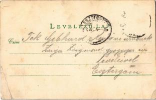 1900 Dombóvár, Új-Dombóvár; Pályaudvar, vasútállomás, gőzmozdony. Kiadja a Dombóvári Könyvnyomda (r)