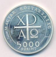 2009. 5000Ft Ag "Kálvin János" T:1 (eredetileg PP) Adamo EM226