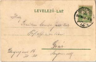 1907 Budapest V. Klotild főhercegnő palotái, üzletek, épülő Erzsébet híd a háttérben. Erdélyi cs. és...