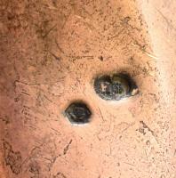 Ezüst (Ag.) fejes bambusz sétabot, jelzett, m: 91 cm