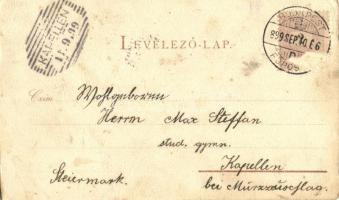 1899 Budapest VI. M. kir. Opera. Back & Schmitt, Art Nouveau, litho s: Rosenberger (gyűrődése / ...