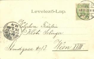 1900 Budapest XIV. Városliget, Történelmi főcsoport, Vajdahunyad vára. Kunstanstalt "Kosmos&quo...