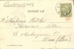 1906 Budapest, Dunai részlet a Lánchíddal, rakpart. Divald Károly 842. sz. (kis szakadás / small tea...