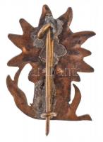 ~1930. "MTE (Magyar Turista Egyesület)" zománcozott Cu jelvény (29x21mm) T:2