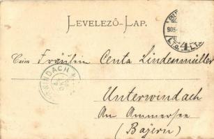 1905 Budapest I. Tabán, Döbrentei tér, Szenes Ede üzlete, sörcsarnok (szakadás / tear)