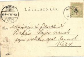 1904 Abony, Római katolikus templom, Havas Gyula üzlete (vágott / cut)