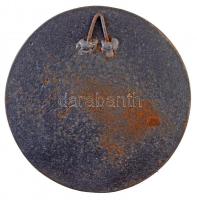 Németország DN "Deutscher Trabersport-Club e.V" Br plakett, hátulján akasztóval (~170mm) T...
