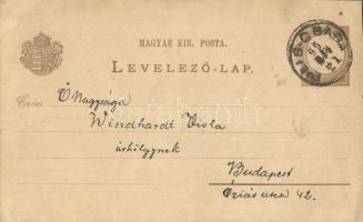 1899 Piliscsaba, a katonai táborból küldött kézzel rajzolt lap egy gyakorlatról (vágott / cut)