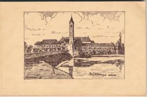 20 darabos régi képeslapfüzet művészi Délvidéki városképekkel a Délvidéki Egyetemi és Főiskolai Hall...