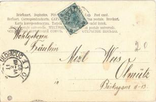 2 db régi enyhén erotikus motívumlap; szobalány papokkal / 2 pre-1905 slightly erotic motive cards; ...