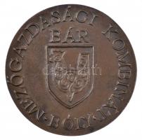 1989. "Szeged - 1989 - Shaver szakmai napok / Mezőgazdasági Kombinát Bár - Bóly" Br emléké...