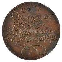 1978. "1968-1978 / Tíz éves a M.É.E. Hajdúböszörményi csoportja" Br emlékérem. Szign.:VÉ (...