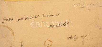 cca 1910 Székely Aladár (1870-1940): Ady Lőrincné Pásztor Mária (1858-1937), Ady Endre édesanyja ált...