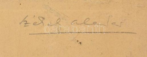 cca 1910 Székely Aladár (1870-1940): Ady Lőrincné Pásztor Mária (1858-1937), Ady Endre édesanyja ált...