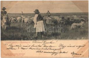 13 db régi magyar folklór lap: Hortobágy / 13 pre-1945 Hungarian folklore motive cards