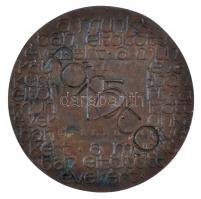 Ligeti Erika (1934-2004) DN "Főfotó - Munkában eltöltött évekért" Br plakett (76,5mm) T:2