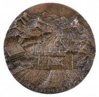 1971 "1951-1971 - 20 / Finomszerelvénygyár" kétoldalas Br emlékérme (~102mm) T:2