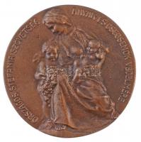 Vastagh György (1868-1946) 1929. "Heim Pál 1875-1929 / Országos Stefánia Szövetség Anyák és Cse...