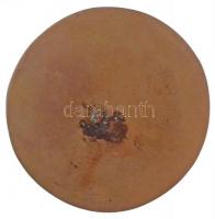 Lantos Györgyi (1953-) 1993. "Juhász Gyula - Magyartanárok III. Országos Konferenciája - Csongr...