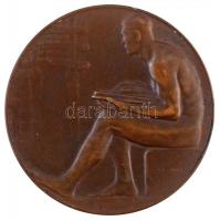 Berán Lajos (1882-1943) 1909. "Kőrösi Csoma Sándor 1784-1842" kétoldalas Br emlékérem, az ...