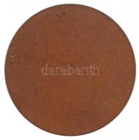 Beck Ö. Fülöp (1873-1945) 1938. "Dr Ferenczi Izsónak baráti emlékül" egyoldalas Br emlékér...