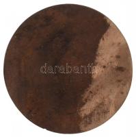 Pátzay Pál (1896-1979) DN "Eötvös József 1813-1874" egyoldalas, öntött Br plakett T:1 / Hu...