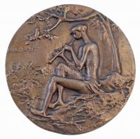 Madarassy Walter (1909-1994) DN "Gustav Mahler 1860-1911" kétoldalas, öntött Br plakett (4...