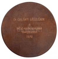 Madarassy Walter (1909-1994) 1963. "Magyar Építőművészek Szövetsége" egyoldalas, öntött Br...