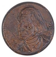 Vass Csaba (1950-) 1986. "Liszt 1886-1986 Kalocsa" Br plakett felcsavarozható hátlappal (1...