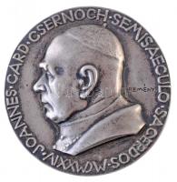 Reményi József (1887-1977) 1924. JOANNES CARD. CSERNOCH SEMISAECULO SACREDOS MCMXXIV / TUA LUCE DIRIGE jelzetlen, öntött Ag emlékérem (180,08g/72mm) T:1- RR! / Hungary 1924. JOANNES CARD. CSERNOCH SEMISAECULO SACREDOS MCMXXIV / TUA LUCE DIRIGE Ag commemorative medallion without hallmark (180,08g/72mm) C:AU RR!