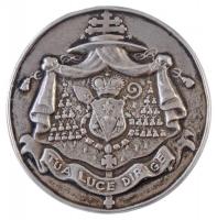 Reményi József (1887-1977) 1924. "JOANNES CARD. CSERNOCH SEMISAECULO SACREDOS MCMXXIV / TUA LUC...