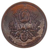 Habsburg Birodalom / Erdély 1765. Emlékérem a polgári törvények reformjára ezüstözött Br emlékérem (...