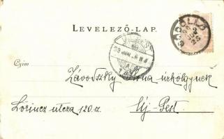 1899 Gödöllő, Királyi kastély. Walter Haertel. C. Andelfinger & Cie. Nr. 156. Erdélyi cs. és kir...