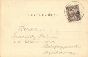 1901 Balatonföldvár, nyaralók, villák, fürdőzők
