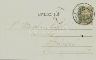 1903 Balatonföldvár, alsó rész nyugat felől tekintve, nyaralók, villák, fürdőkabinok (EK)