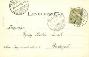 1904 Hatvan, Grassalkovich kastély, Római katolikus templom és parókia. Kiadja Hoffmann M. L