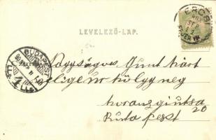 1903 Ercsi, látkép, templom, gőzhajó montázs. Kiadja Déri János és fia (EK)