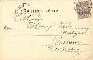 1901 Szekszárd, Tolna vármegye múzeuma. Kiadja Fischhof Mór (EK)