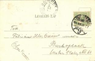 1905 Aszód, utca, híd. Kiadja Wahl Adolf