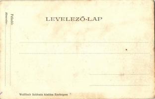 Esztergom, Vártemplom, prímási palota és hajóállomás, Bazilika, "Budapest" személyszállító...