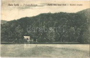 1929 Felsőbánya, Baia Sprie; Partie dela lacul Bódi / Bódi tó. Kiadja Dácsek Péter / lake (EK)