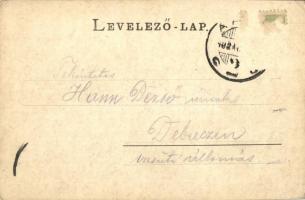 1902 Arad, Neumann palota, Hungaria kávéház, üzletek / palace, café, shops (EK)