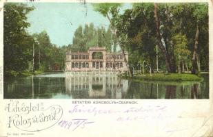 1899 Kolozsvár, Cluj; Sétatéri korcsolyacsarnok. Kováts P. fiai kiadása / promenade, skating hall (EB)