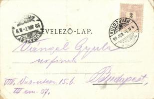 1899 Kolozsvár, Cluj; Sétatéri korcsolyacsarnok. Kováts P. fiai kiadása / promenade, skating hall (E...