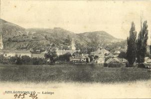 1905 Szilágysomlyó, Simleu Silvaniei; látkép. Kiadja Heinrich K. / general view (fl)