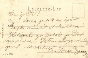 1905 Szilágysomlyó, Simleu Silvaniei; látkép. Kiadja Heinrich K. / general view (fl)