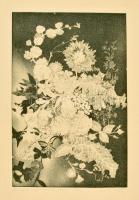 Lunczer Anikó (1942- ): Ikebana. Akvatinta, papír, jelzett, 29×19 cm