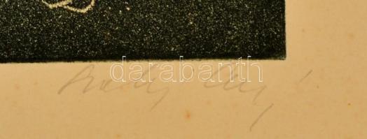 Lunczer Anikó (1942- ): Ikebana. Akvatinta, papír, jelzett, 29×19 cm