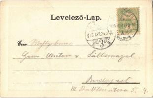 1905 Nagyszeben, Hermannstadt, Sibiu; tér, Teutsch püspök szobra / Huetplatz, Teutsch Denkmal / squa...